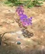 羽ピクミン